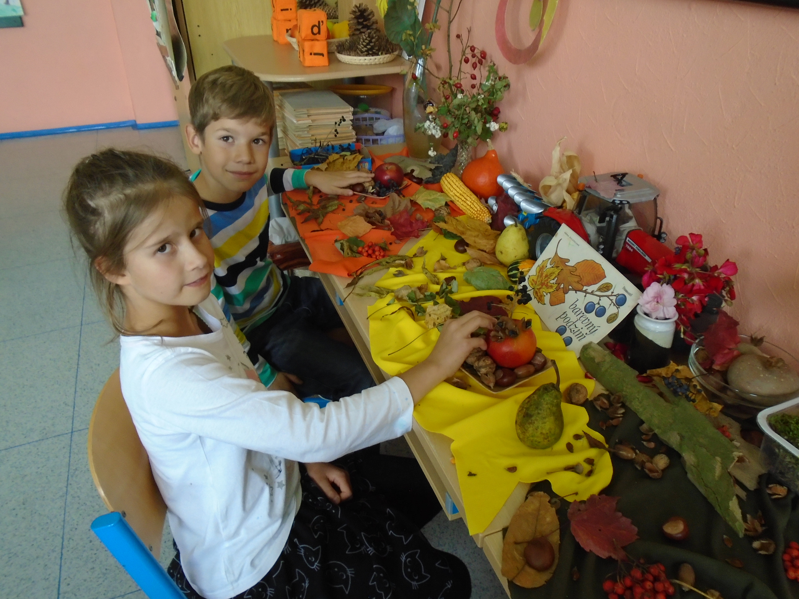 DSC00501